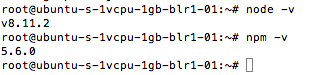 nodejs-version-check